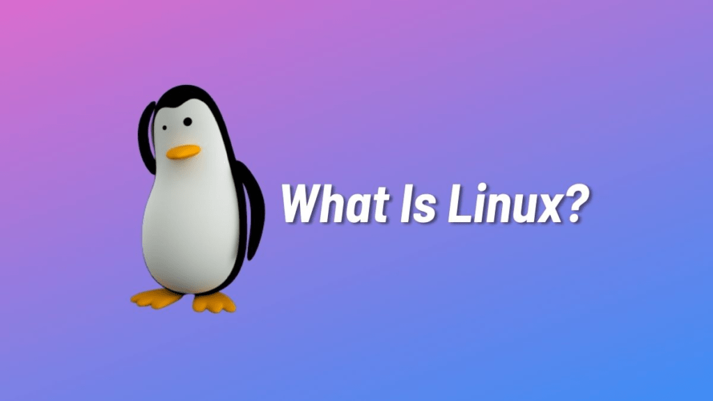 Hệ điều hành Linux là gì? Ưu và khuyết điểm của Linux - Giải pháp công nghệ EVPS.VN - Web hosting, Cloud VPS, Business Email, Thiết kế website chuẩn SEO