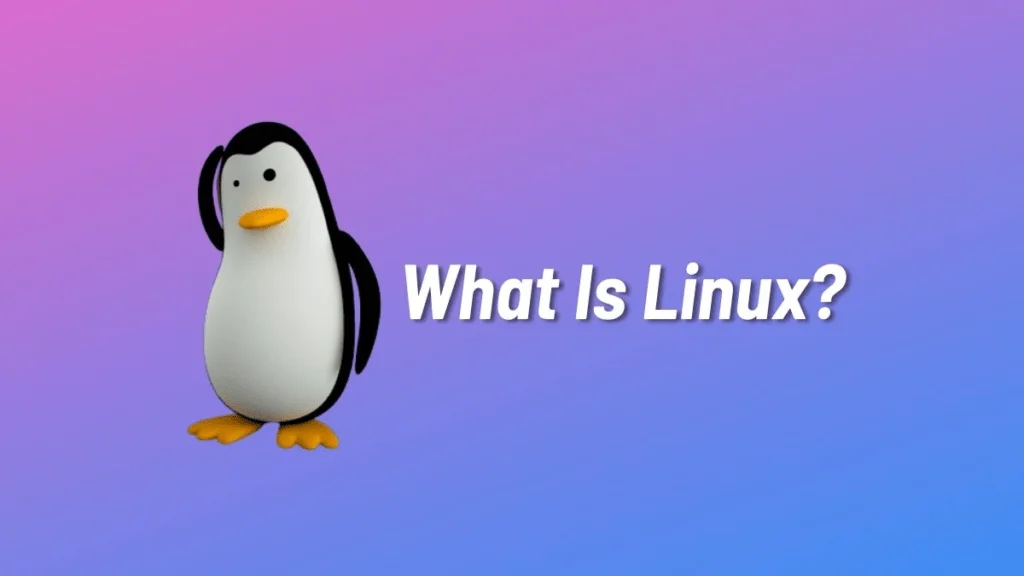 Hệ điều hành Linux là gì? Ưu và khuyết điểm của Linux - Giải pháp công nghệ EVPS.VN - Web hosting, Cloud VPS, Business Email, Thiết kế website chuẩn SEO